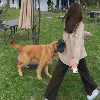 如果你离我而去